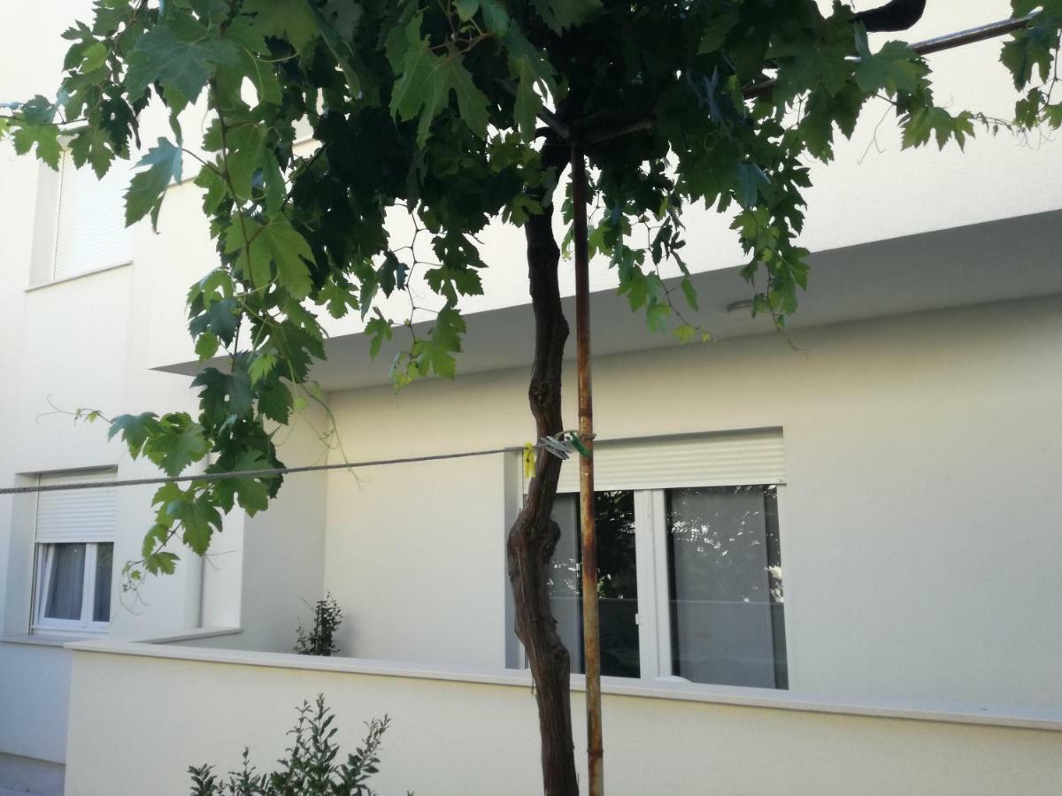 Apartment Drosanjica Zadar Eksteriør bilde